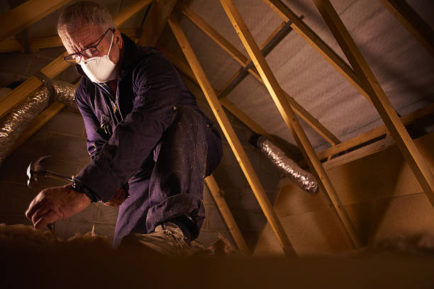 Best Specialized Insulation Services in Green Oaks, IL