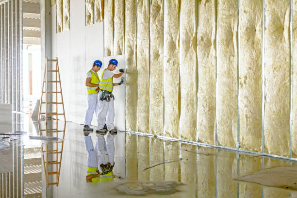 Types of Insulation We Offer in Green Oaks, IL